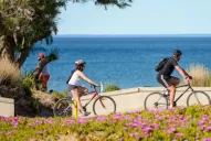 Previaje 3: cómo cargar los comprobantes y qué hacer si los rechazan