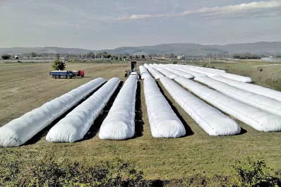 El BCRA subió la tasa de créditos para productores de soja