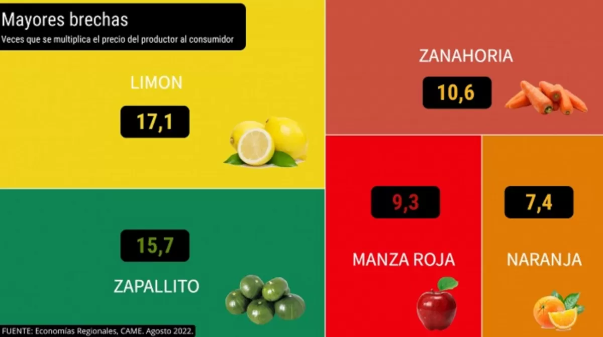 El consumidor pagó seis veces más de lo que cobró un productor de frutas y verduras