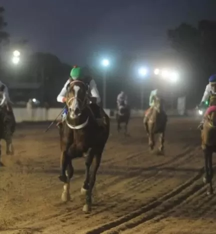 VA POR MÁS. Dipinto intentará venirse de un viaje en la prueba más importante de la reunión de hoy en el hipódromo local. 