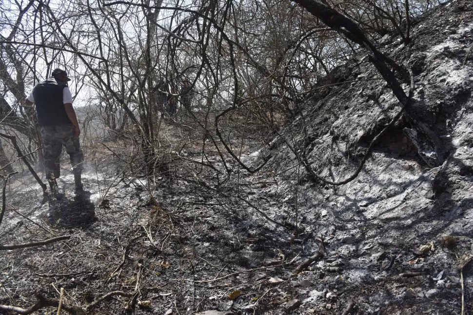 UN PELIGRO. La sequía colabora para que, con el papel preponderante del viento, se produzcan incendios que luego son difíciles de controlar. LA GACETA / ANALIA JARAMILLO