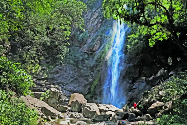 Cartas de lectores I: Patrimonio ambiental en riesgo
