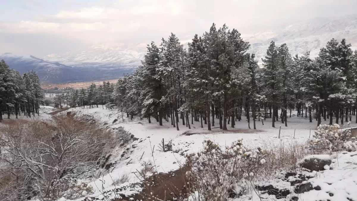 TAFÍ DEL VALLE. Los cerros amanecieron cubiertos de nieve este miércoles. Foto GENTILEZA JAVIER ASTORGA