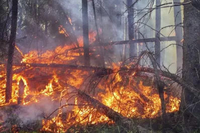 Sin medidas más ambiciosas, las consecuencias del cambio climático serán devoradoras