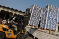 “La limonicultura del Noroeste Argentino atraviesa una crisis sin precedentes”