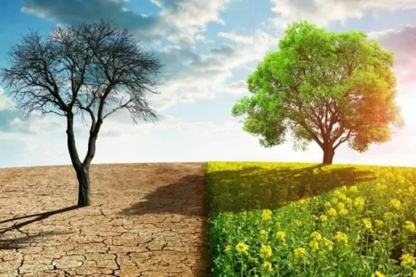 Cambio climático: dura advertencia de las Naciones Unidas