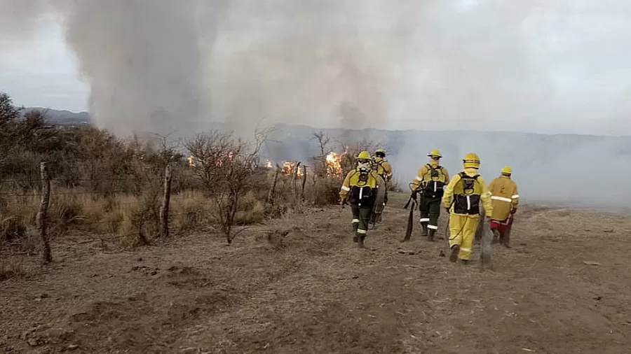 Incendios forestales. Telam