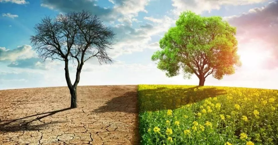 SEQUÍAS. Este es uno de los síntomas preocupantes del calentamiento. 