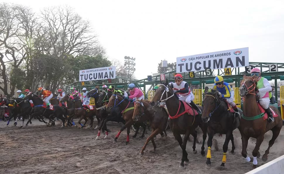 ¡LARGARON! Ejemplares de muy buena calidad competirán en las 12 pruebas que se disputarán el sábado 24 en el hipódromo tucumano. 