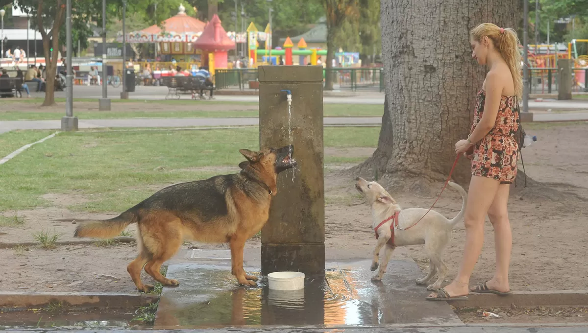 ARCHIVO LA GACETA / FOTO DE ANTONIO FERRONI