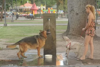 Tucumán, un horno: Cómo reconocer y actuar ante casos de agotamiento y golpe de calor