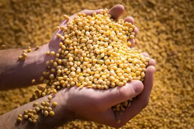 Dólar soja II: “Beneficia al que menos necesita, cuestionaron en Apronor