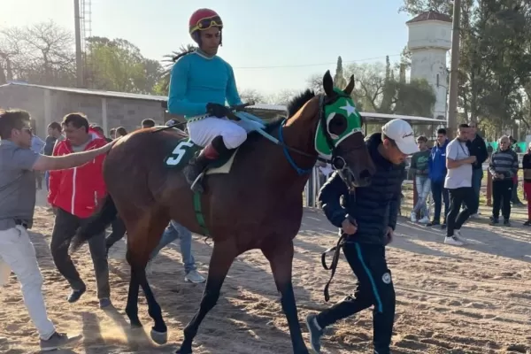 Turf: ¡Para todos los gustos!