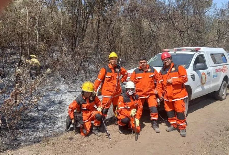 Santa Ana: refuerzan el trabajo para prevenir la quema de cañaverales