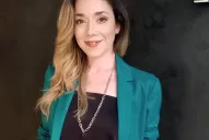 Echaron del Congreso a la abogada de uno de los detenidos por el atentado a Cristina Kirchner