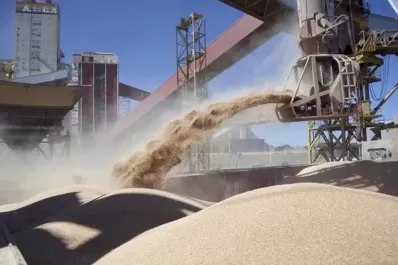 Dólar soja: exportadores de granos anunciaron que ya liquidaron más de U$S 5.000 millones