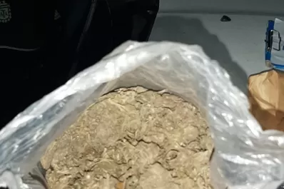 Creepy, la marihuana transgénica que ya se comercializa en Tucumán