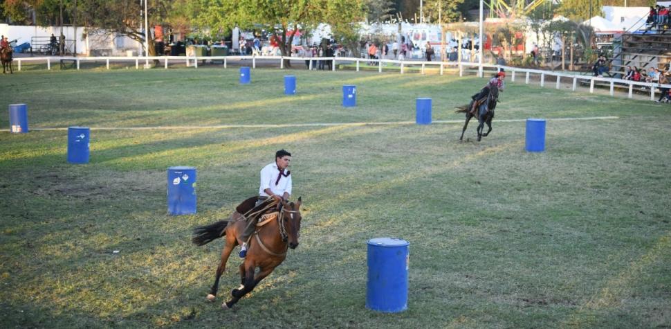  EN ACCIÓN. Los jinetes con las “madrinas” (yeguas que portan cencerros) salen a campo abierto, dejando a los caballos “perdidos”.