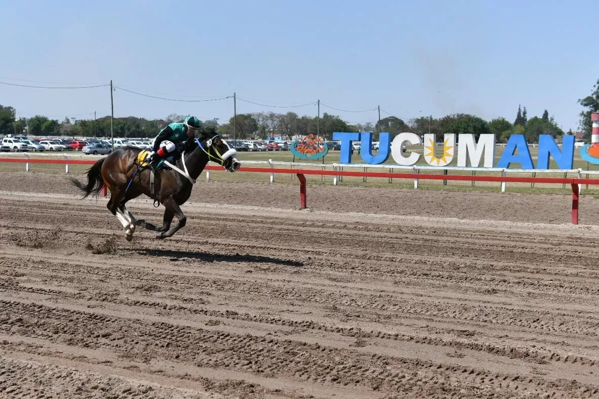 PREMIO BATALLA DE TUCUMÁN / foto de Comunicación Pública