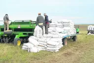 Fertilizar: devolverle al suelo lo que este da