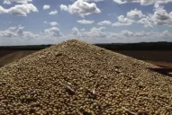 La economía que viene: sin el “dólar soja”, ¿quién alimentará las reservas?