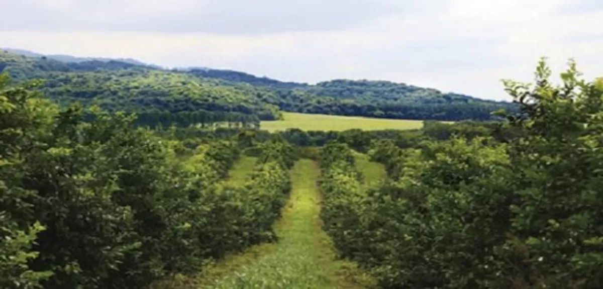 Dos millones de hectáreas rehúyen al antagonismo entre producción y ecología