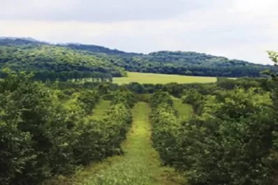 Dos millones de hectáreas rehúyen al antagonismo entre producción y ecología