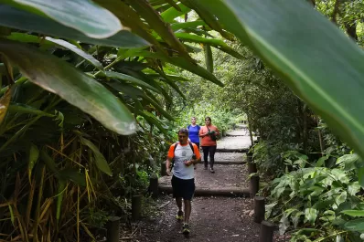 Clima en Tucumán: el cielo estará despejado y a pleno sol este domingo