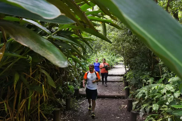 Cinco escapadas para internarse en la naturaleza, refrescarse en un río y huir del calor