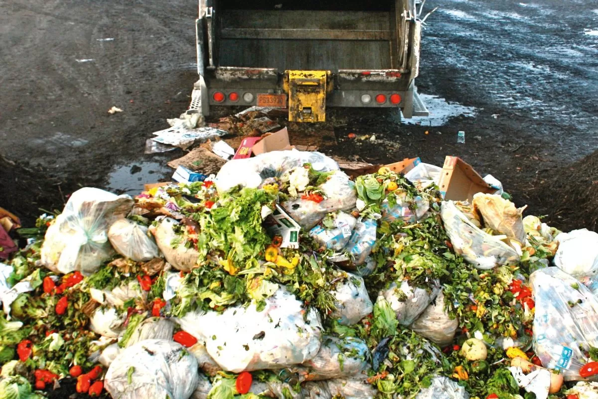 ALIMENTOS EN LA BASURA. Un problema de alto impacto negativo a nivel mundial. Imagen ilustrativa de DiarioEcología