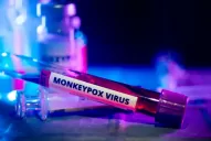 Viruela del mono: el marcado aumento de casos en el país y en Latinoamérica