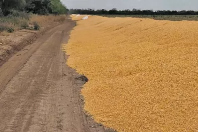 La Federación Agraria repudió el ataque a silobolsas en Tucumán