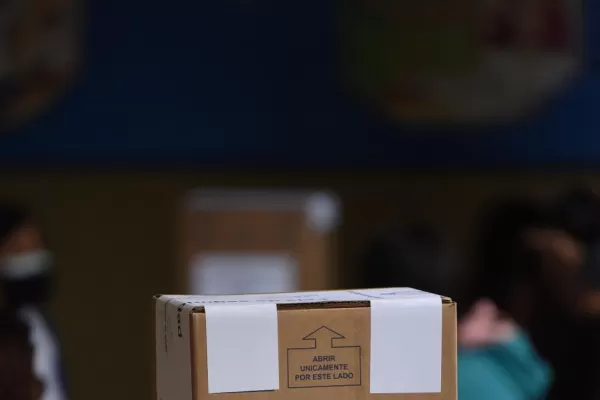 El futuro de las PASO está en manos del Congreso