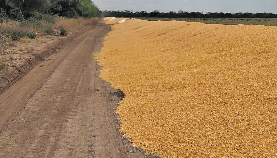 La Federación Agraria repudió el ataque a silobolsas en Tucumán