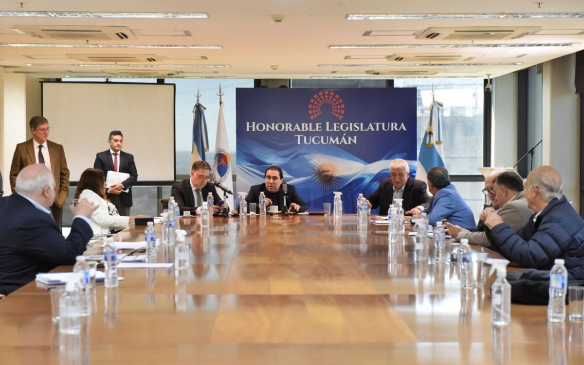 EN LABOR PARLAMENTARIA. Sergio Mansilla encabezó la reunión de la comisión. Foto de Prensa HLT