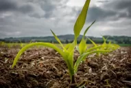 Hacia enero y febrero del año que viene se avizora la normalización de las precipitaciones