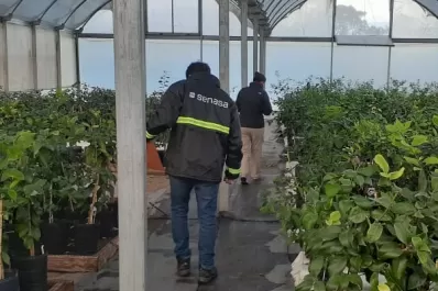 El Senasa fiscalizó viveros en Tucumán