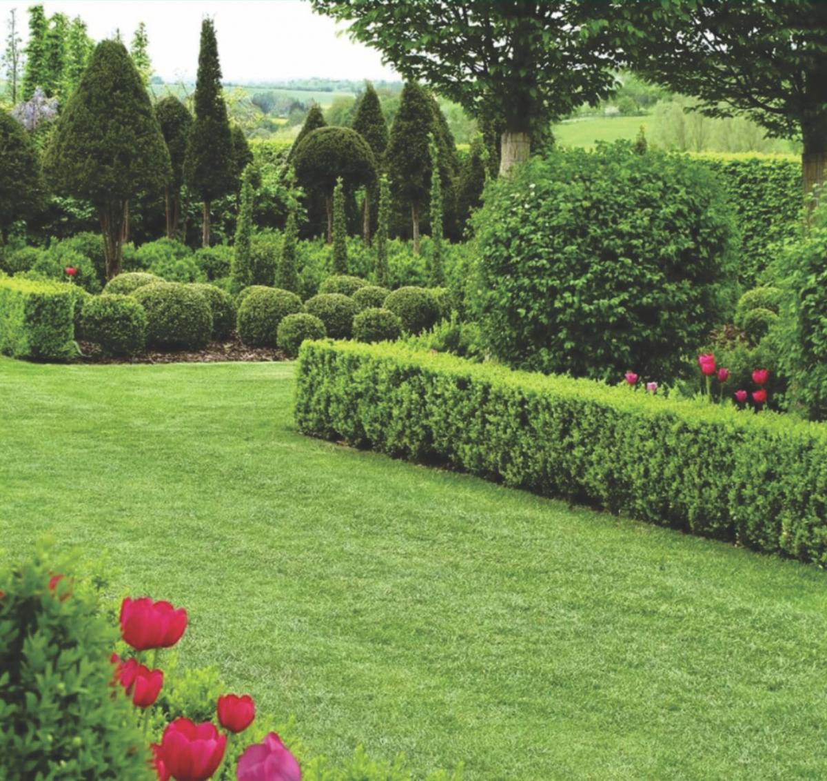 Las mejores opciones en piletas y jardín para este verano