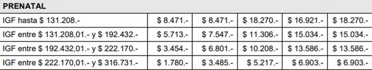 Anses Prenatal: cuál es el dato clave que tenés que saber para cobrar hasta $18.000