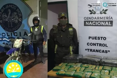 Secuestran en Tucumán 17 kilos de hojas de coca que se dirigían a Mendoza