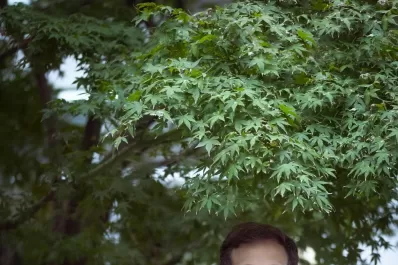 A mayor cantidad de ingredientes, menos saludable el alimento