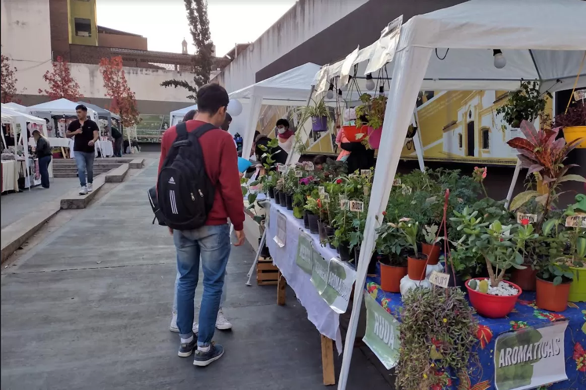 Feria “Arte-Sano”, en la plaza Temática