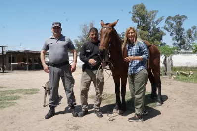 Equinoterapia en la cárcel: los caballos ayudan a la reinserción social