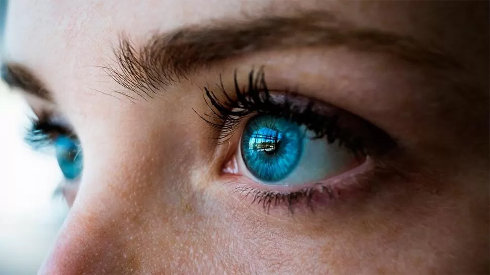 GENÉTICO. Todos los de ojos azules provienen de un ancestro común. 