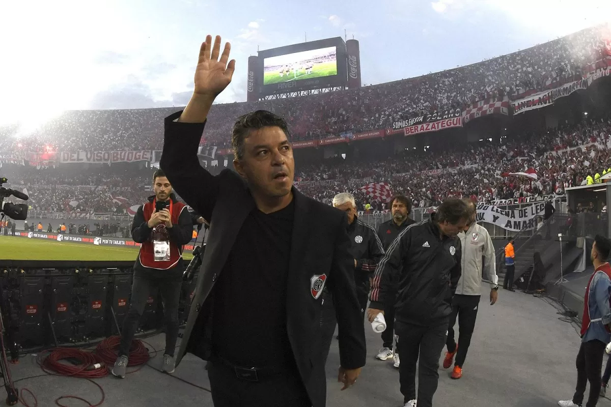 MARCELO GALLARDO