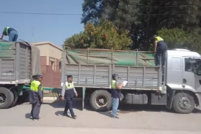 Laguna de Robles: secuestran 60 toneladas de soja por falta de documentación