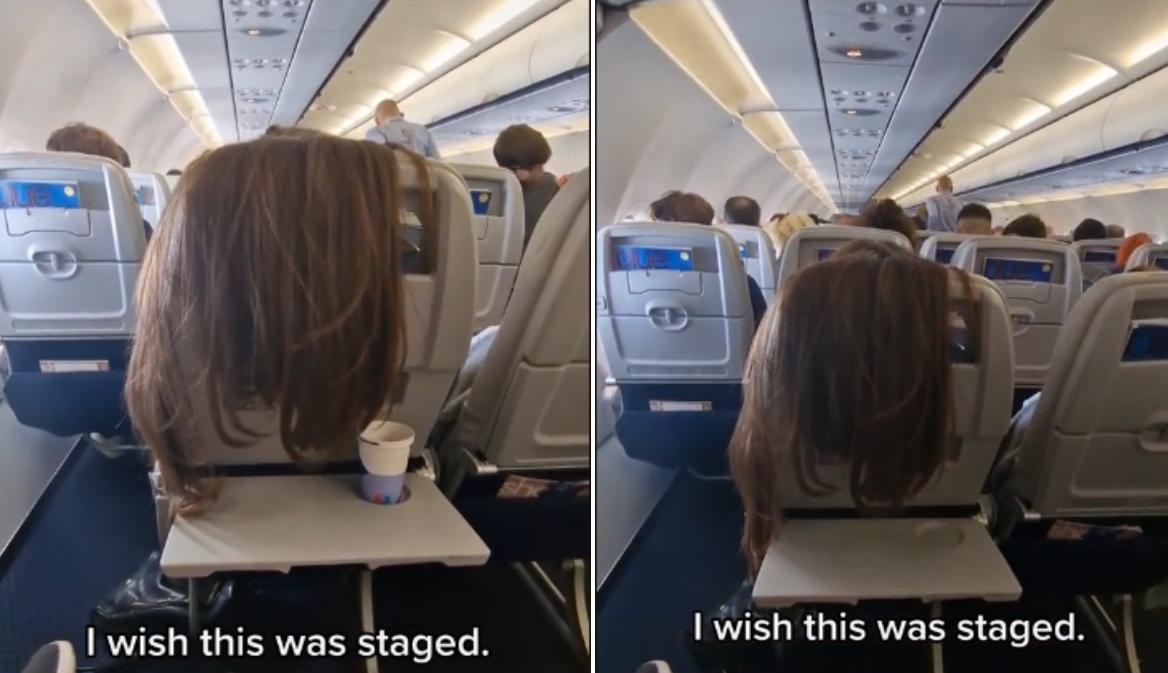 Pasajera desplegó su caballera en el asiento del avión