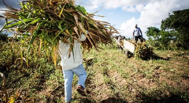 BAJA. Lula y Bolsonaro quieren reducir los costos para los consumidores.  