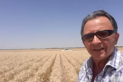Más allá de la magra cosecha, destacan la calidad del trigo local