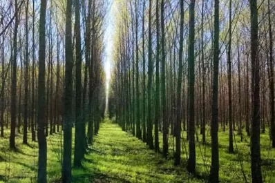 Extienden el registro para premios PYME de Galicia y Clarín